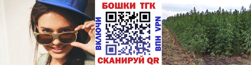 А ПВП Ершов
