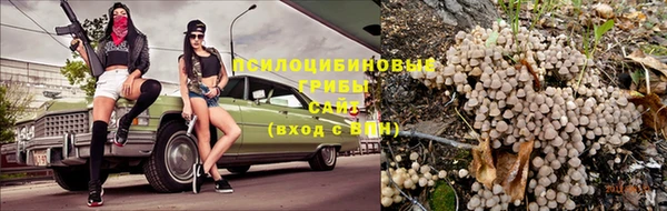 дмт Балахна