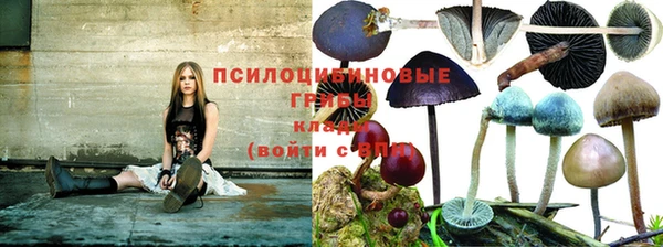 дмт Балахна