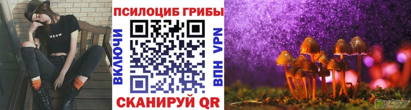 продажа наркотиков  ссылка на мегу сайт  Псилоцибиновые грибы Cubensis  Ершов 